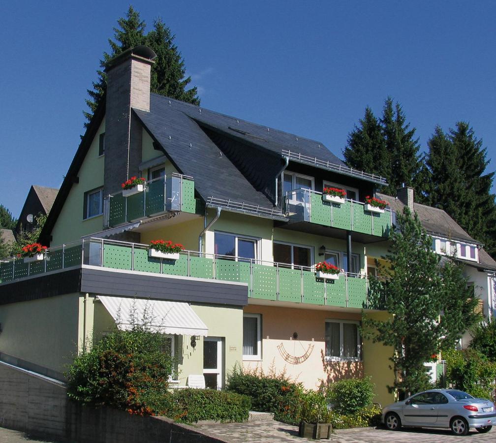 Goebel'S Ferienhaus Sonnenuhr Willingen  Kültér fotó